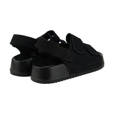 SDL FEM YZ551