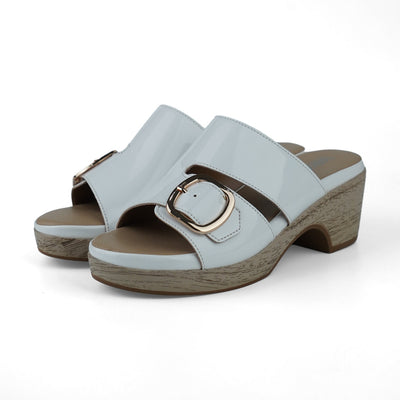 SDL FEM YZ549