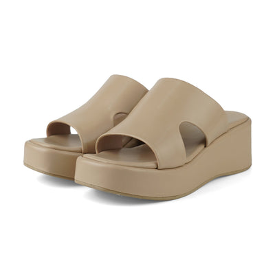 SDL FEM YZ389